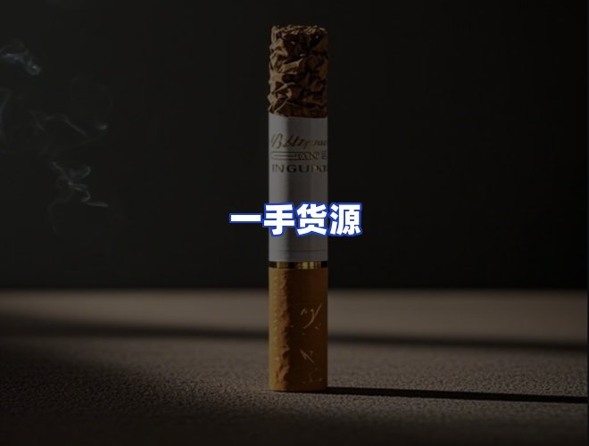 专业团队
